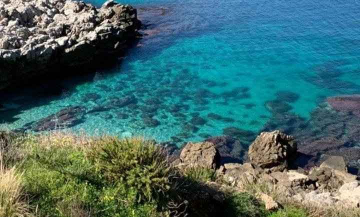 Apartmán Da Carmen E Peppe Santa Flavia Exteriér fotografie